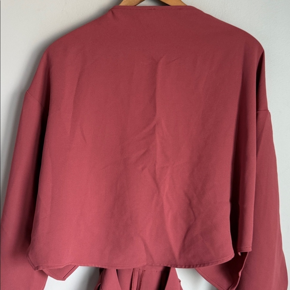 RACHEL COMEY PALOMA DRESS RUST 6 - Picture 8 of 12